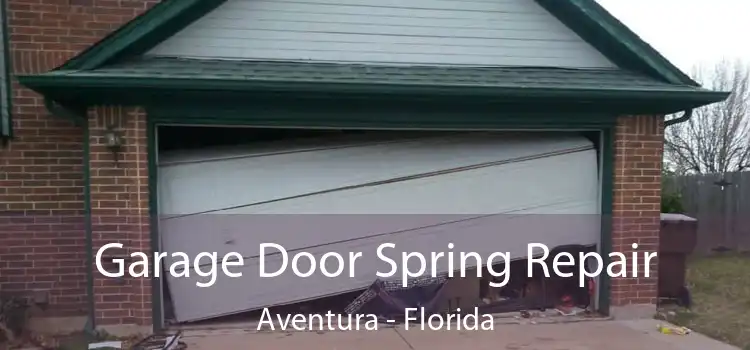 Garage Door Spring Repair Aventura - Florida