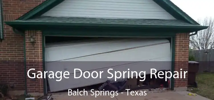 Garage Door Spring Repair Balch Springs - Texas