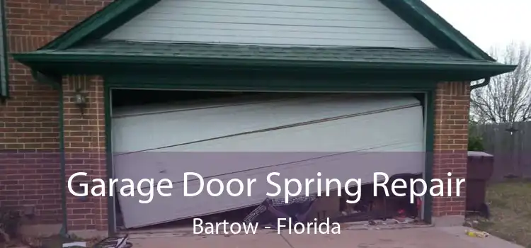 Garage Door Spring Repair Bartow - Florida