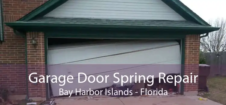Garage Door Spring Repair Bay Harbor Islands - Florida
