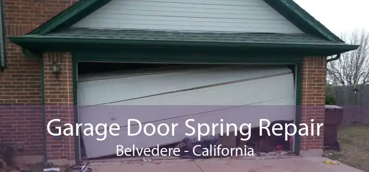 Garage Door Spring Repair Belvedere - California