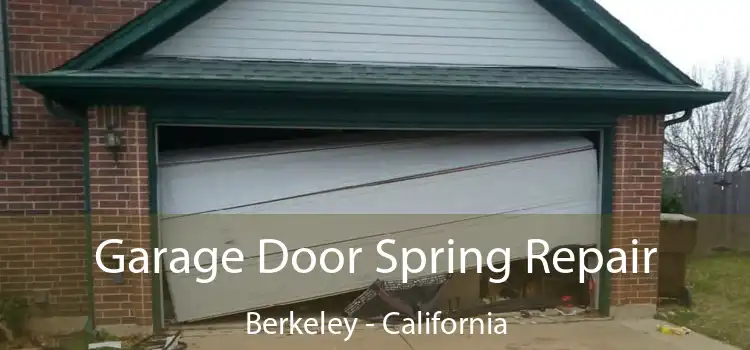 Garage Door Spring Repair Berkeley - California