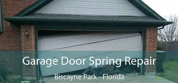 Garage Door Spring Repair Biscayne Park - Florida