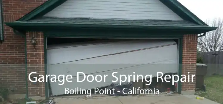 Garage Door Spring Repair Boiling Point - California