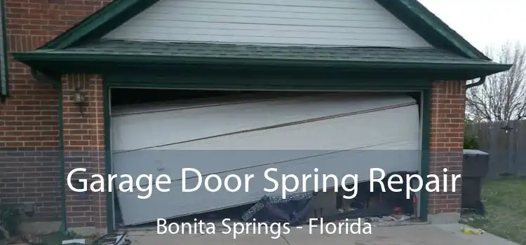 Garage Door Spring Repair Bonita Springs - Florida