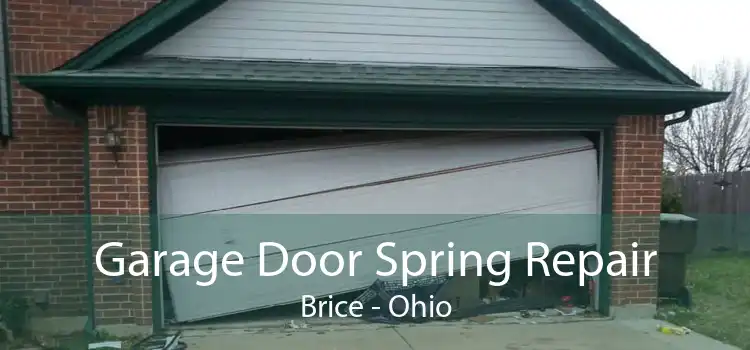 Garage Door Spring Repair Brice - Ohio
