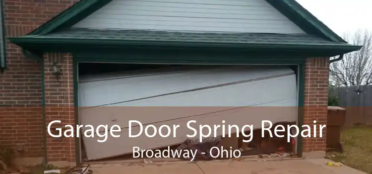 Garage Door Spring Repair Broadway - Ohio