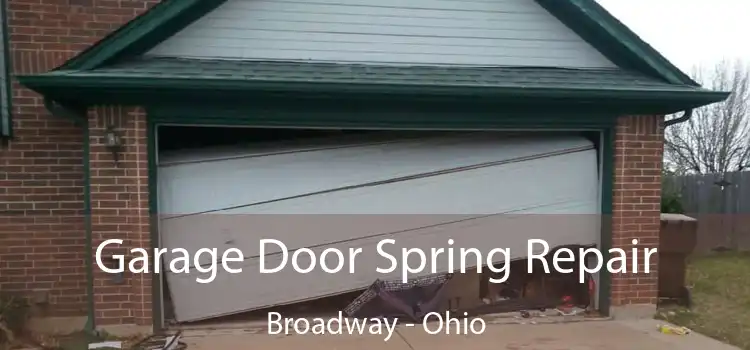 Garage Door Spring Repair Broadway - Ohio