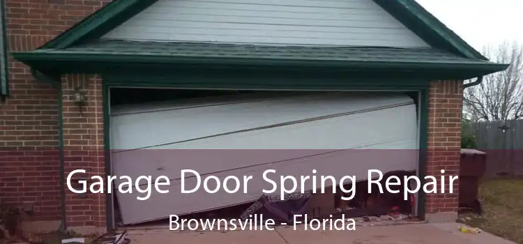 Garage Door Spring Repair Brownsville - Florida