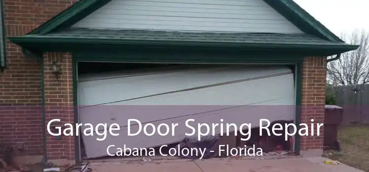 Garage Door Spring Repair Cabana Colony - Florida