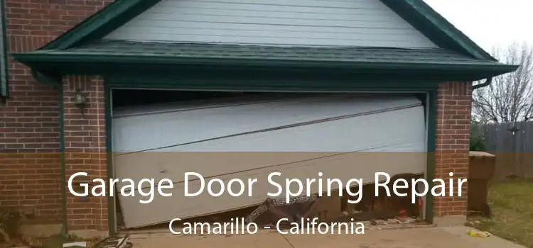 Garage Door Spring Repair Camarillo - California