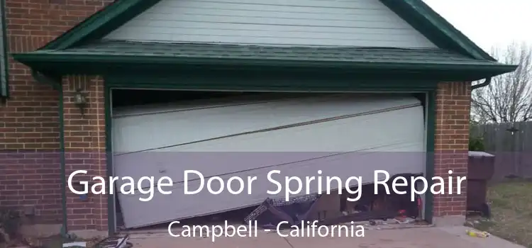 Garage Door Spring Repair Campbell - California