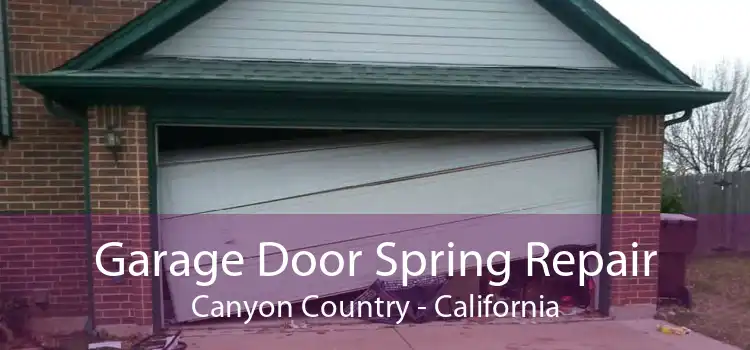 Garage Door Spring Repair Canyon Country - California