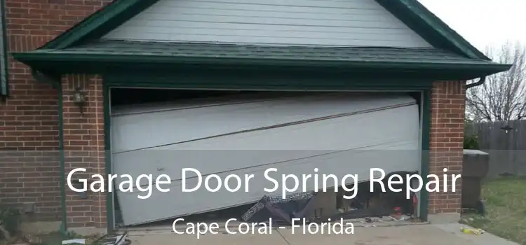 Garage Door Spring Repair Cape Coral - Florida