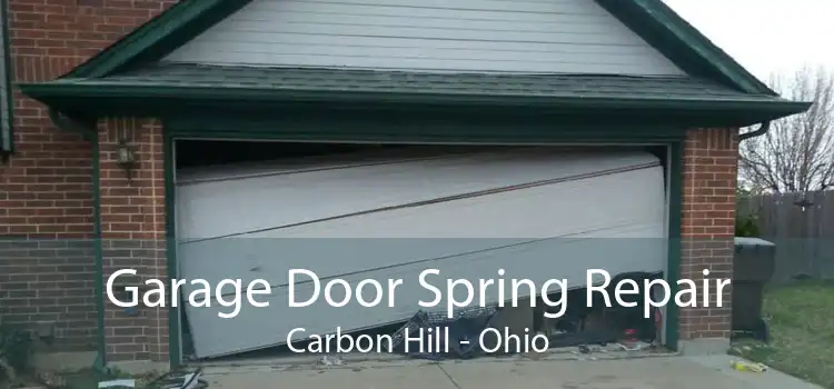 Garage Door Spring Repair Carbon Hill - Ohio
