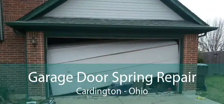 Garage Door Spring Repair Cardington - Ohio