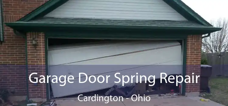 Garage Door Spring Repair Cardington - Ohio