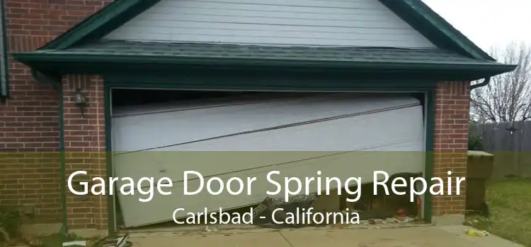Garage Door Spring Repair Carlsbad - California