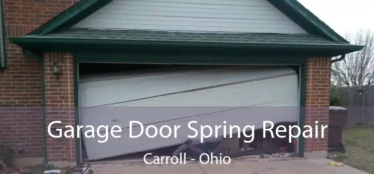 Garage Door Spring Repair Carroll - Ohio