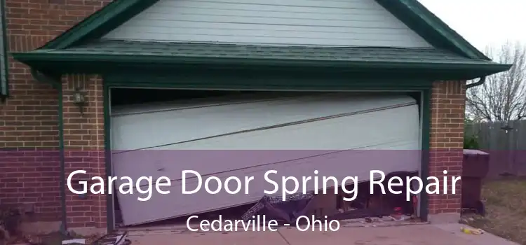 Garage Door Spring Repair Cedarville - Ohio