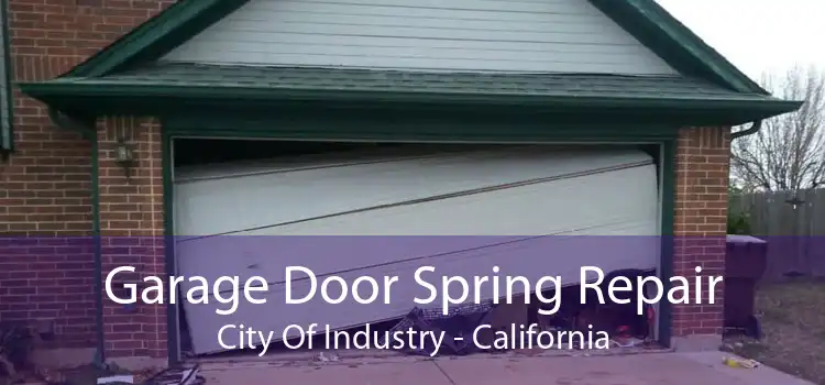 Garage Door Spring Repair City Of Industry - California