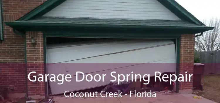 Garage Door Spring Repair Coconut Creek - Florida