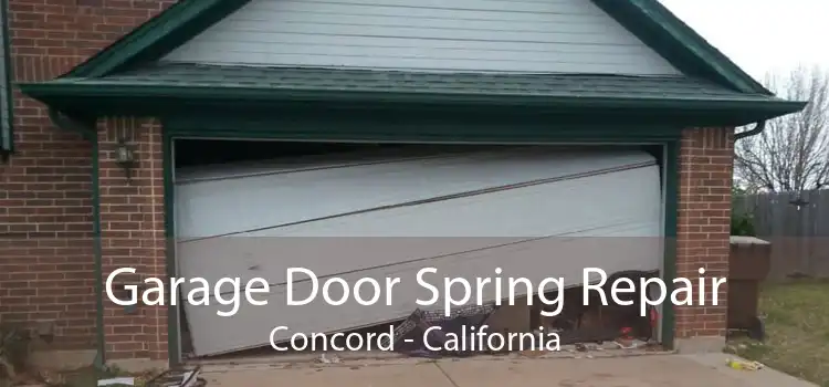 Garage Door Spring Repair Concord - California