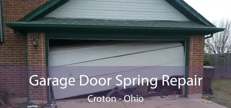 Garage Door Spring Repair Croton - Ohio