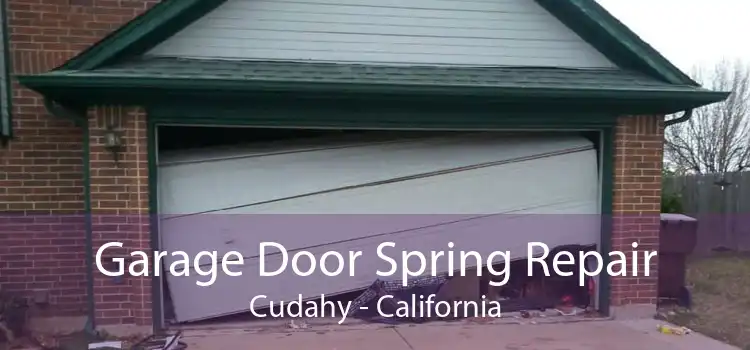 Garage Door Spring Repair Cudahy - California