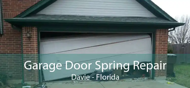 Garage Door Spring Repair Davie - Florida