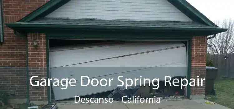 Garage Door Spring Repair Descanso - California