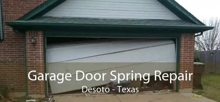 Garage Door Spring Repair Desoto - Texas