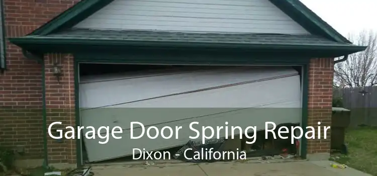 Garage Door Spring Repair Dixon - California