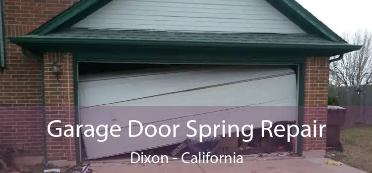 Garage Door Spring Repair Dixon - California