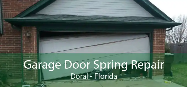 Garage Door Spring Repair Doral - Florida