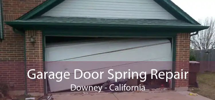 Garage Door Spring Repair Downey - California