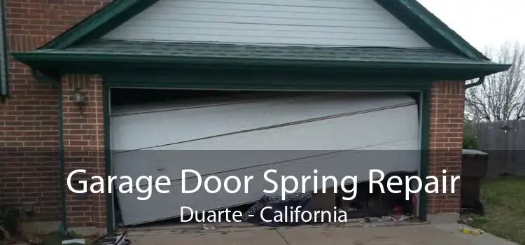 Garage Door Spring Repair Duarte - California