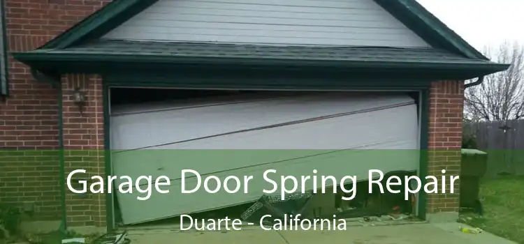 Garage Door Spring Repair Duarte - California