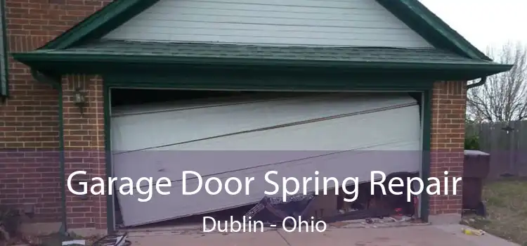 Garage Door Spring Repair Dublin - Ohio