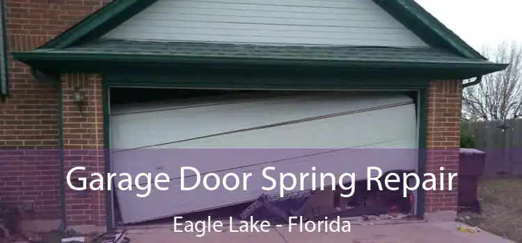 Garage Door Spring Repair Eagle Lake - Florida