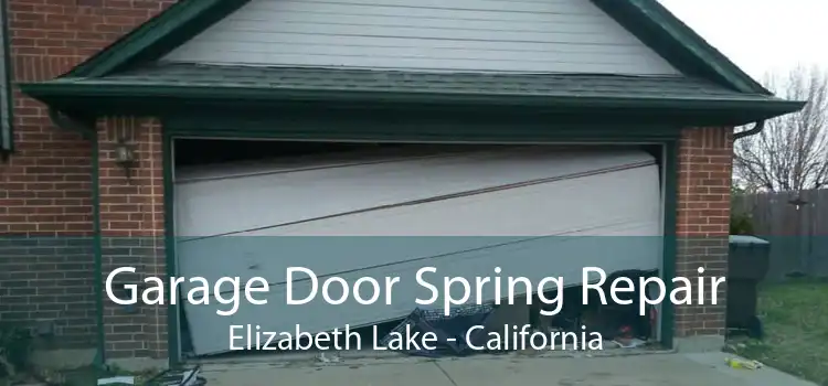 Garage Door Spring Repair Elizabeth Lake - California