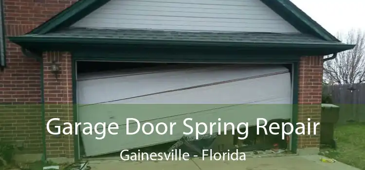 Garage Door Spring Repair Gainesville - Florida