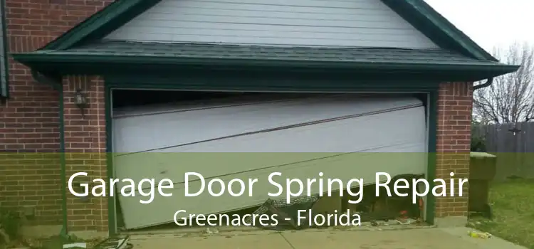 Garage Door Spring Repair Greenacres - Florida