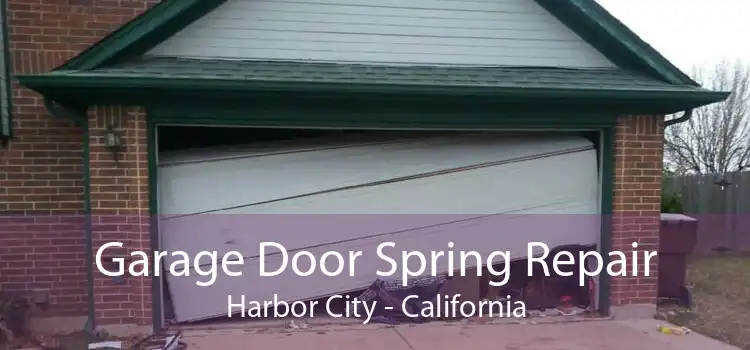 Garage Door Spring Repair Harbor City - California