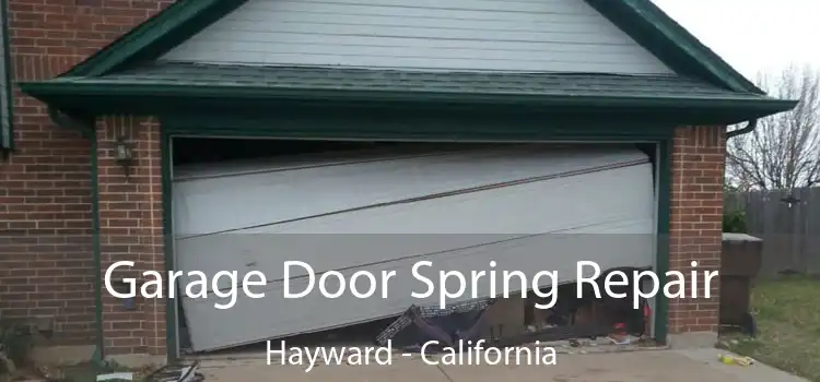 Garage Door Spring Repair Hayward - California