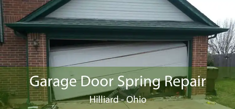 Garage Door Spring Repair Hilliard - Ohio