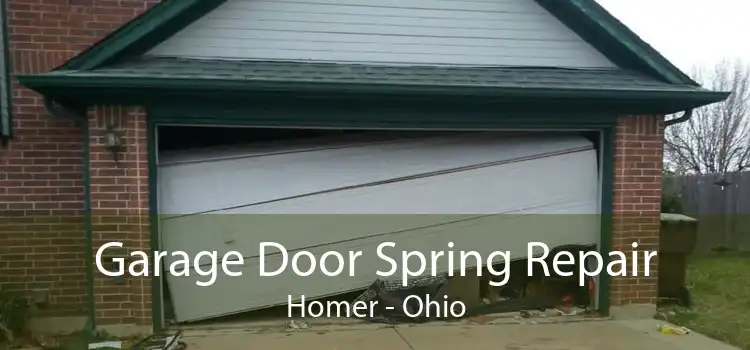 Garage Door Spring Repair Homer - Ohio