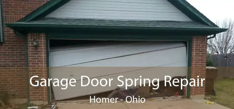 Garage Door Spring Repair Homer - Ohio