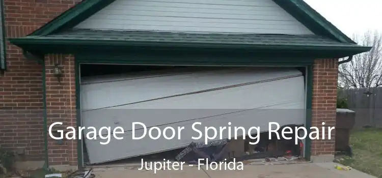 Garage Door Spring Repair Jupiter - Florida