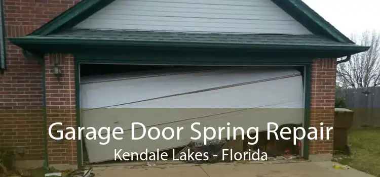 Garage Door Spring Repair Kendale Lakes - Florida
